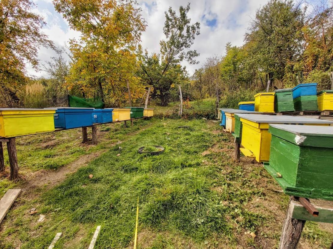 Pensiunea Agroturistica Piscul Soarelui Cîmpulung Kültér fotó
