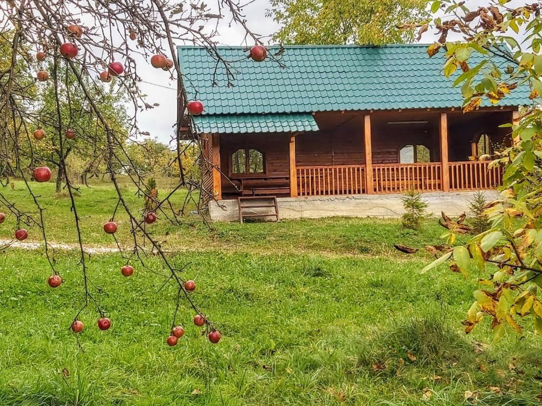 Pensiunea Agroturistica Piscul Soarelui Cîmpulung Kültér fotó