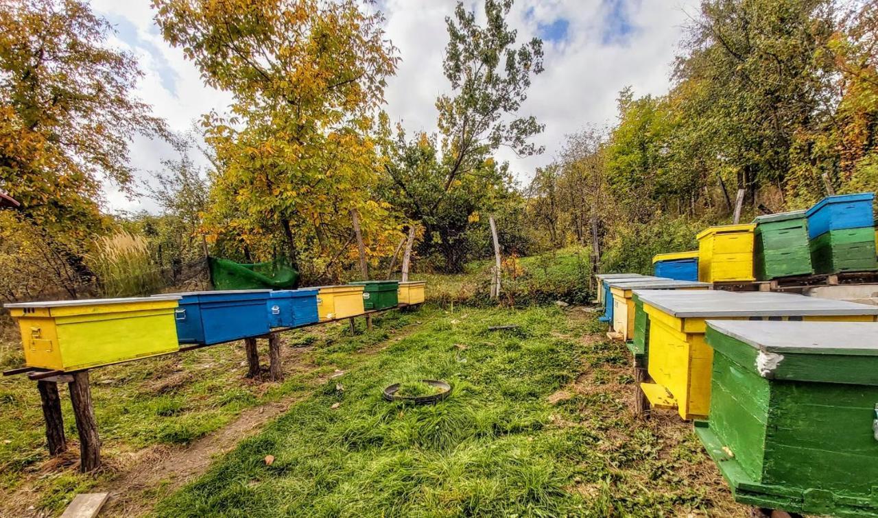 Pensiunea Agroturistica Piscul Soarelui Cîmpulung Kültér fotó