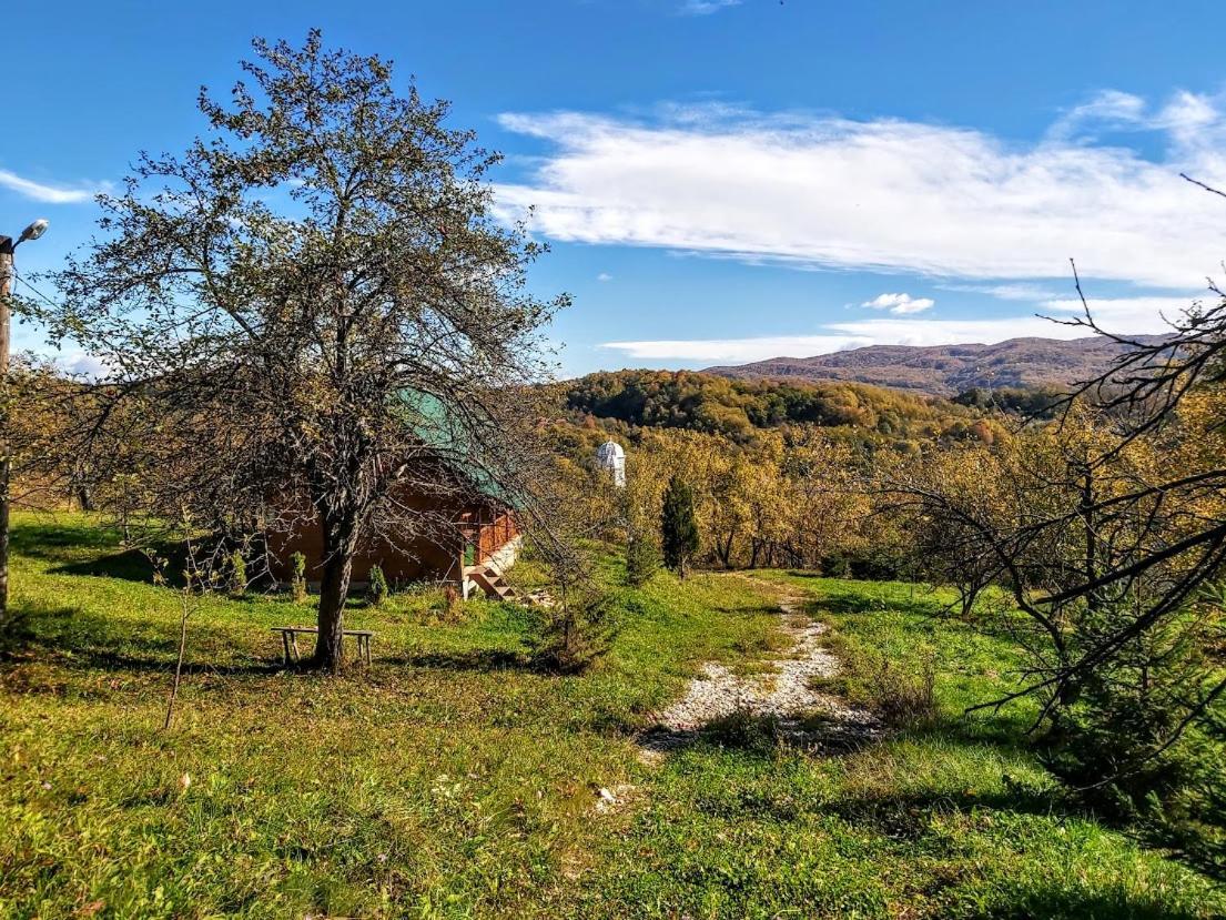 Pensiunea Agroturistica Piscul Soarelui Cîmpulung Kültér fotó
